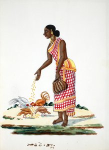 Femme nourrissant des poules