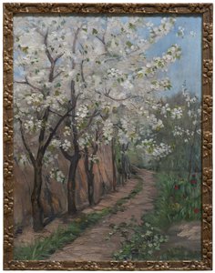 Fleurs de cerisier