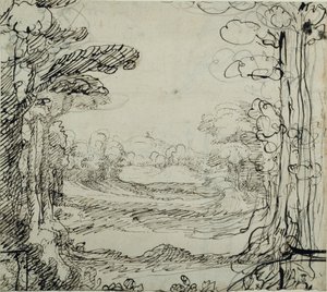 Une forêt