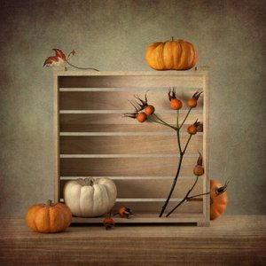 Nature morte « Récolte d