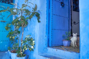 Scène de rue à Chefchaouen, la ville bleue du Maroc, 2019 (photo) - Ira Block
