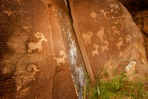 Dans le canyon de Nine Mile, panneaux de moutons près du site de pétroglyphes de Sandhill Crane, 2005