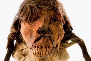 Portraits de la tête de la momie féminine d