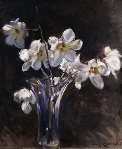 Magnolias dans un vase