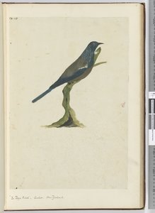F.20 L