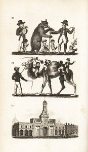 Ours dansant et chien, chameau et singe et la Bourse royale