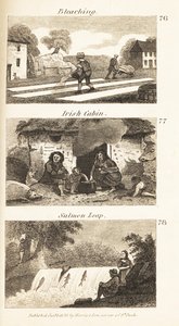 Métiers en Irlande de la Régence : blanchiment, cabane irlandaise et saut de saumon