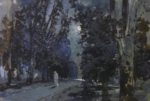 Les ombres. Nuit au clair de lune
