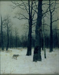Bois en hiver