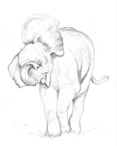 Bébé éléphant 02