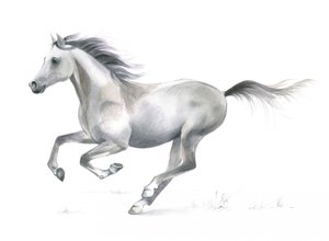 Grâce dynamique d