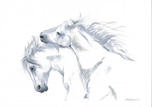 Liberté des chevaux en mouvement