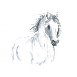 Étude de cheval en mouvement