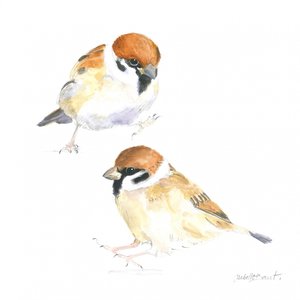 Petits moineaux