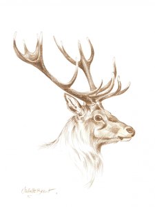 Dessin d