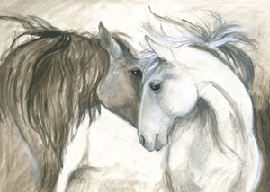 Lien tendre entre deux chevaux