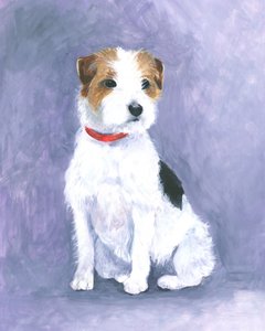 Prestance du terrier