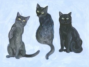 Étude de trois chats