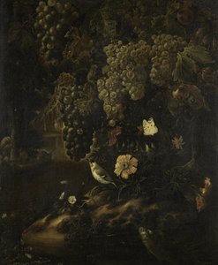 Raisins, fleurs et animaux