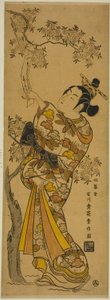 Jeune femme lisant un tanzaku attaché à un cerisier - Ishikawa Toyonobu