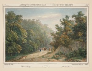 Amérique Septentrionale - État du New Jersey. N. 49, pl. 1 - Isidore Laurent Deroy