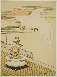 Coq volant au-dessus du pot d