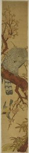 Faucon sur une Branche de Prunier Regardant un Oiseau en Fuite - Isoda Koryusai