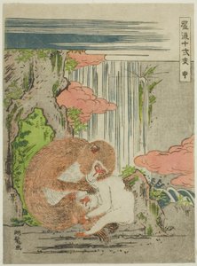 Singe (Saru), de la série "Les douze signes du zodiaque à la mode (Furyu juni shi)"