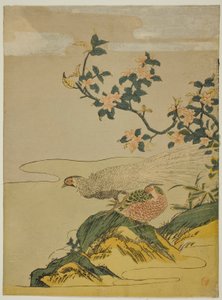 Faisans sous une Branche de Fleurs de Pêcher