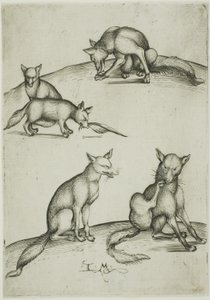 Les cinq renards - Israhel van Meckenem the younger