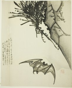Une chauve-souris volant près d