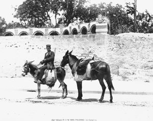 Un Campiere, Palerme, vers 1920