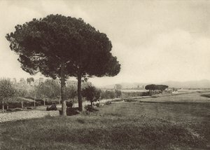 Aqueduc de Claude sur la nouvelle voie Appienne - Italian Photographer