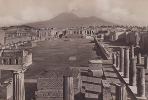 Foro Civile, Le Forum