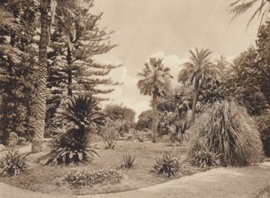 Sicile / Sicile : Villa Tasca, Palermo (photo n/b) - Italian Photographer