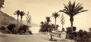 Le jardin du Casino de Montecarlo, dans la Principauté de Monaco