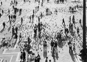Vue de la foule sur la Piazza San Marco, Venise, vers 1965