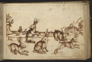 Lapins (