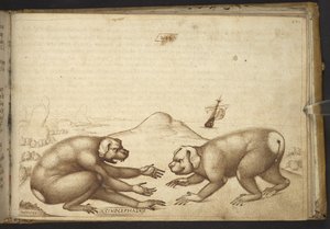 Créatures ressemblant à des chiens se battant (