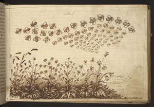 Abeilles (