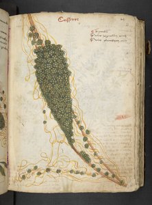 Add MS 41623 