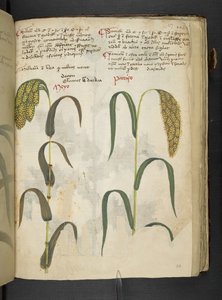 Add MS 41623 f.117r 