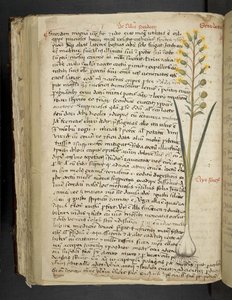 Add MS 41623 f.119v 