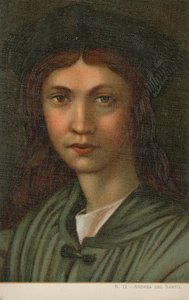 Andrea del Sarto, peintre italien (chromolitho) - Italian School