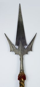 Corsesca à ailes de chauve-souris