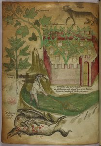 Illustration botanique et animalière de plantes, d