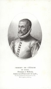 Carolus Clusius - Italian School