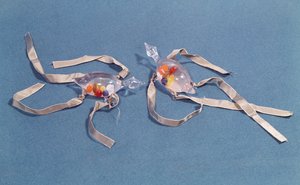 Copie de deux thermomètres médicaux du Museo di Storia della Scienza à Florence - Italian School