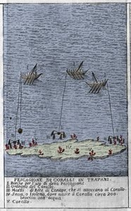 Pêche de corail dans le golfe de Trapani en Sicile, une représentation de petites îles sous-marines où se forment des barils de corail. Gravure de « Stato Presente della Sicilia » par Arcangelo Leanti, Palerme 1761 - Italian School