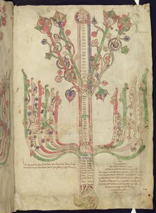 Corpus Christi Oxford MS 255A f.11r Arbre représentant la généalogie des figures bibliques dans le Nouveau Testament